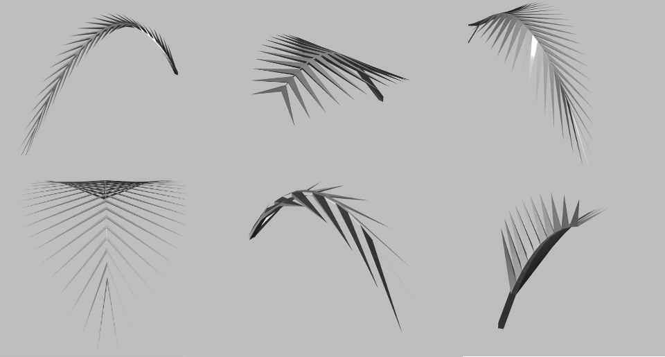 palm leaf examples