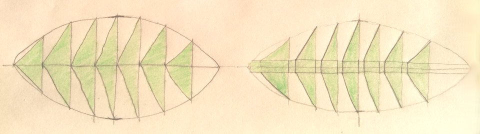 palm leaf